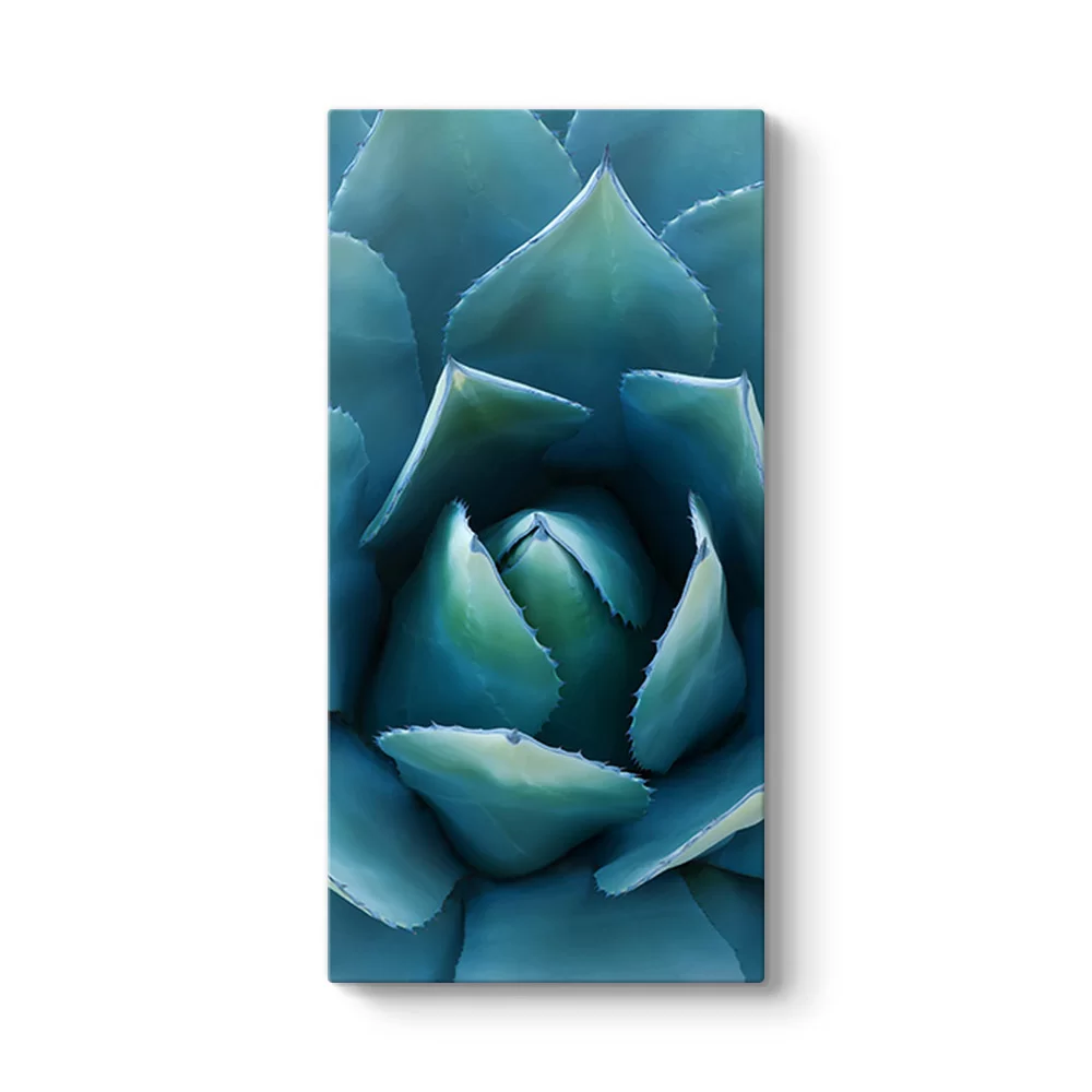Aloe Vera Kaktüs Kanvas Tablo - Model 7